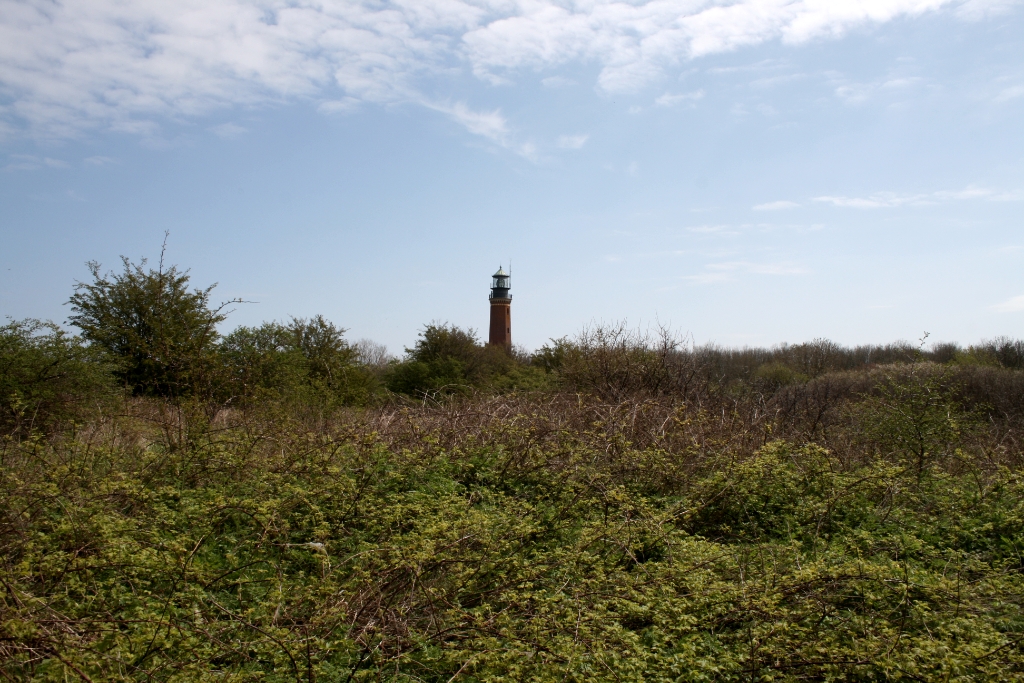 VWG vogelreis Oost Duitsland mei 2010 240